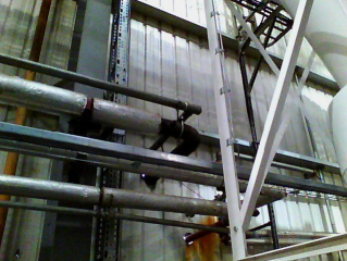 TIPCHECK Audit Food Production Facility