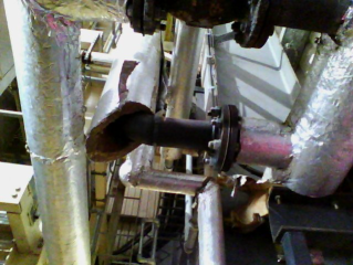 TIPCHECK Audit Food Production Facility